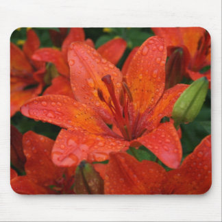 Orange lilja Mousepad Musmatta