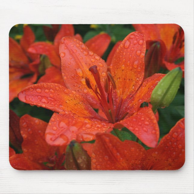 Orange lilja Mousepad Musmatta (Framsidan)