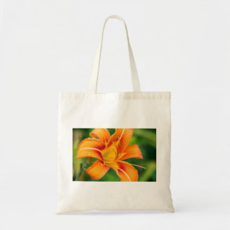Orange Lilja Tygkasse