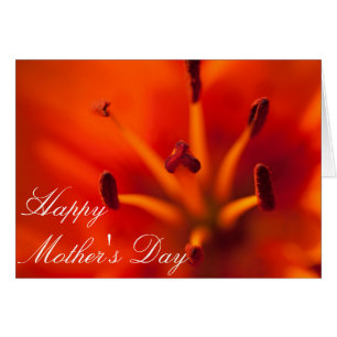 Orange Lilly Mors dag Card Hälsningskort