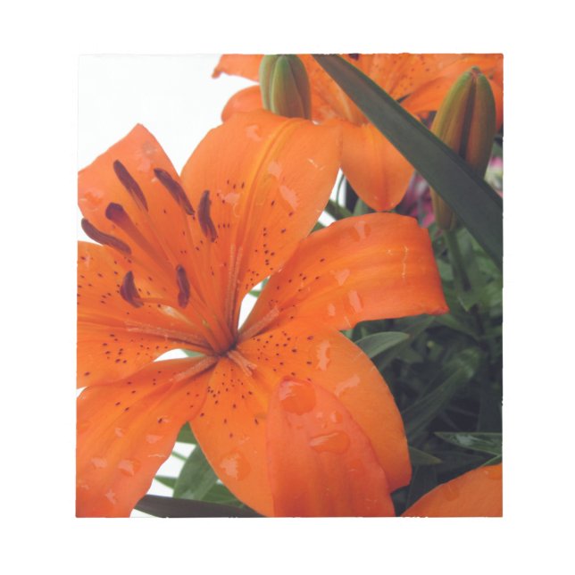 Orange LIly Anteckningsblock (Framsida)