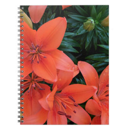 Orange Lily Anteckningsbok Med Spiral