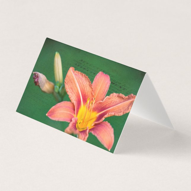 Orange Lily Blank Note Card Kort (Framsida)