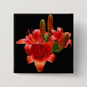 Orange Lily Blommars Knapp