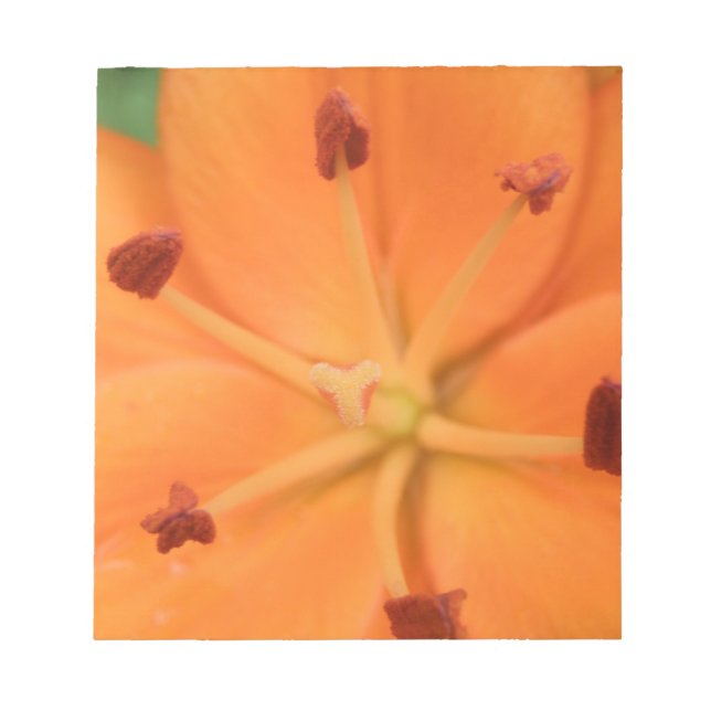 Orange Lily Blommigt Anteckningsblock (Framsida)