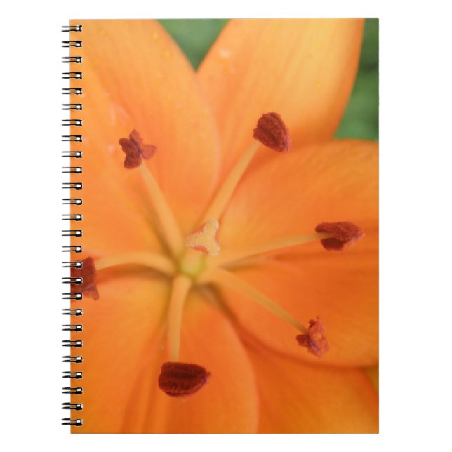 Orange Lily Blommigt bärbar dator Anteckningsbok (Framsidan)