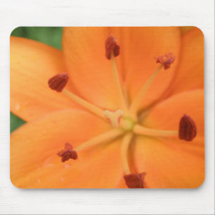 Orange Lily Blommigt Mousepad Musmatta
