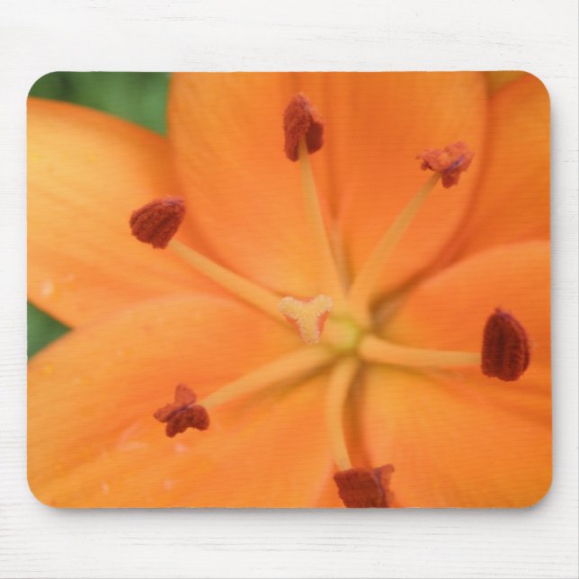Orange Lily Blommigt Mousepad Musmatta (Framsidan)