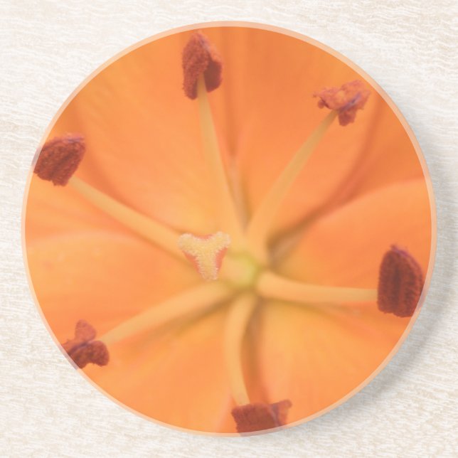 Orange Lily Blommigt Underlägg Sandsten (Framsidan)