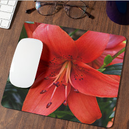 Orange Lily Bloom Blommigt Musmatta