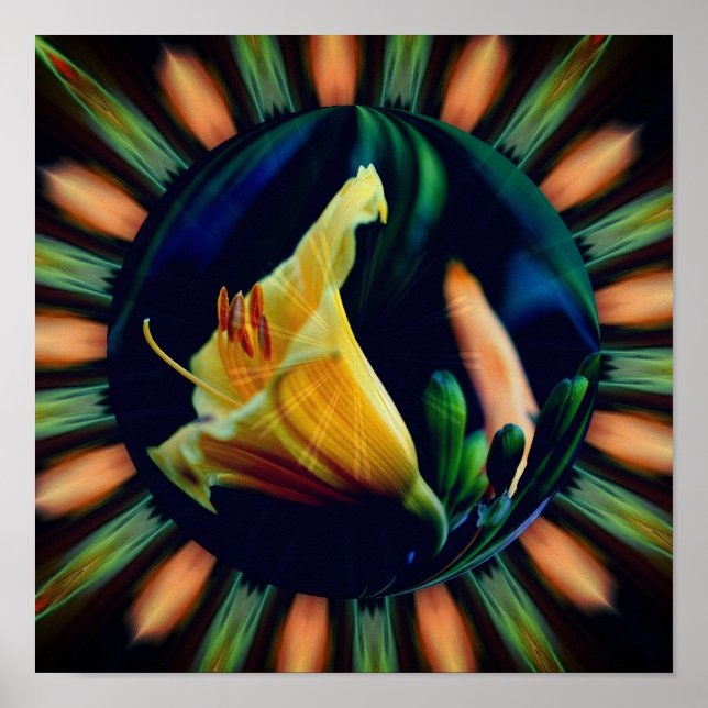 Orange Lily Flower Blommigt Abstrakt Art Poster (Framsidan)