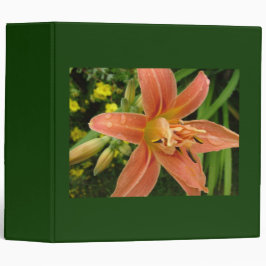 orange lily, grönt
