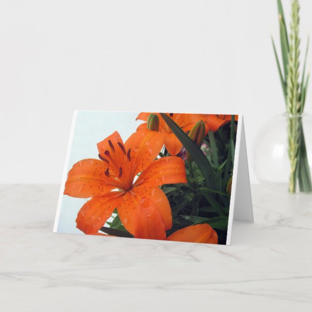 Orange LIly Helgkort (Framsida)