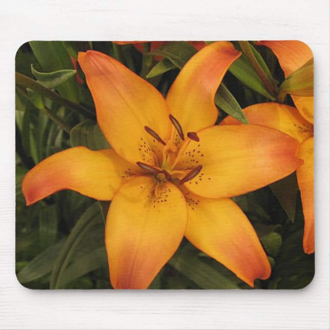 Orange Lily Mouse Pad Musmatta (Framsidan)