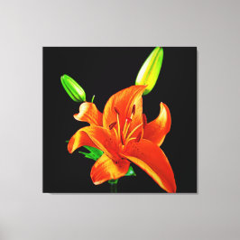 Orange Lily on Black Canvastryck