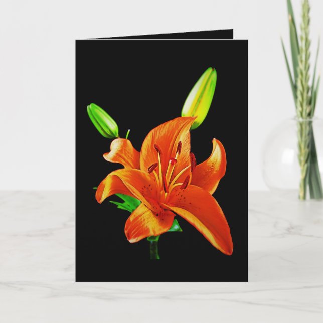 Orange Lily on Black Kort (Framsida)