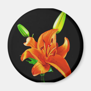 Orange Lily on Black Magnet