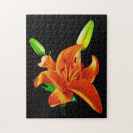 Orange Lily on Black Pussel