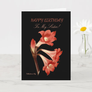 Orange Lily Sister Birthday Kort