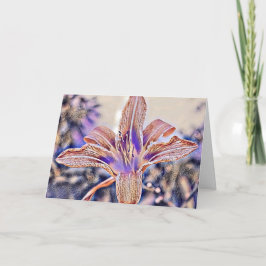 ORANGE LILY-TACK KORT