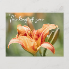 Orange Lily tänker på dig Vykort