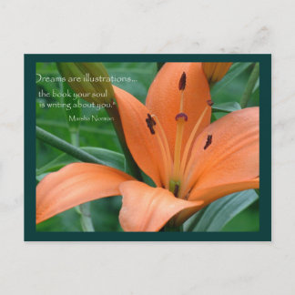 Orange Lily Vykort