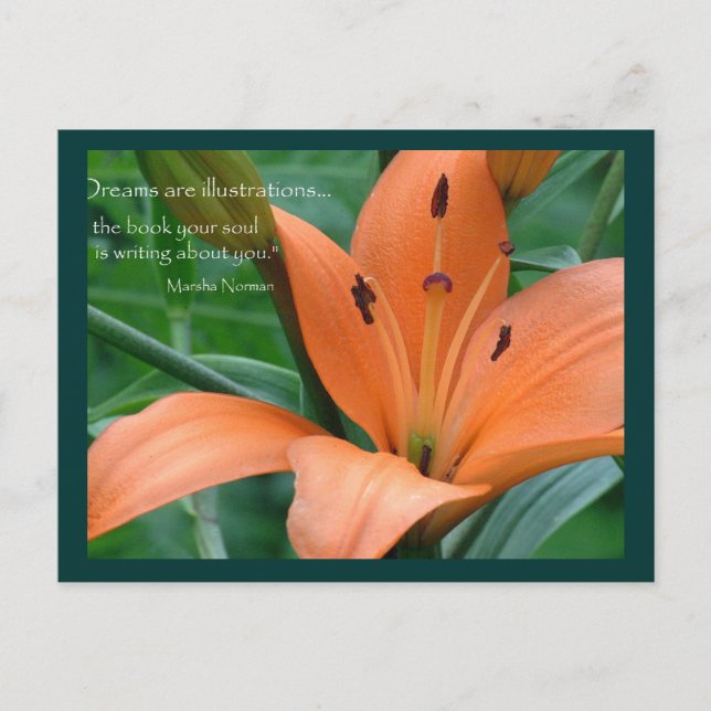 Orange Lily Vykort (Framsida)