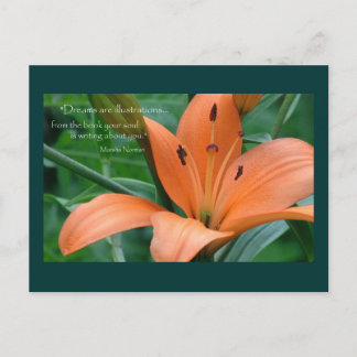 Orange Lily Vykort
