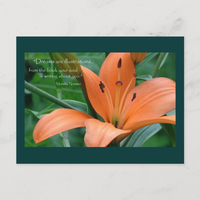 Orange Lily Vykort (Framsida)