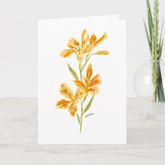 Orange Lily Watercolor Floral Greeting Card Kort