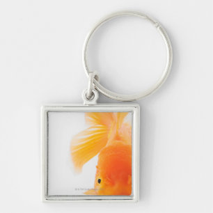 Orange lionheadguldfisk (Carassiusauratusen) Fyrkantig Silverfärgad Nyckelring