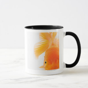 Orange lionheadguldfisk (Carassiusauratusen) Mugg