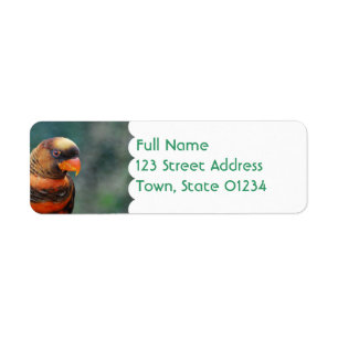 Orange Lorikeet brevskickandeetiketter Returadress Etikett
