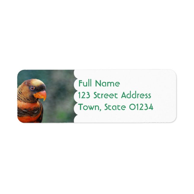 Orange Lorikeet-meddelandeetiketter Returadress Etikett (Framsidan)