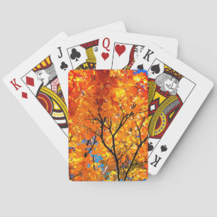Orange löv casinokort