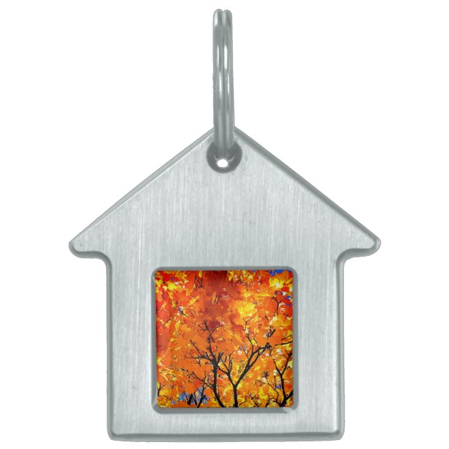 Orange löv ID-bricka husdjur (Framsidan)