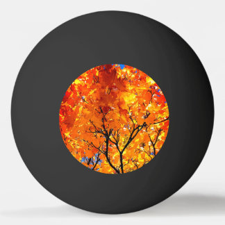Orange löv pingisboll