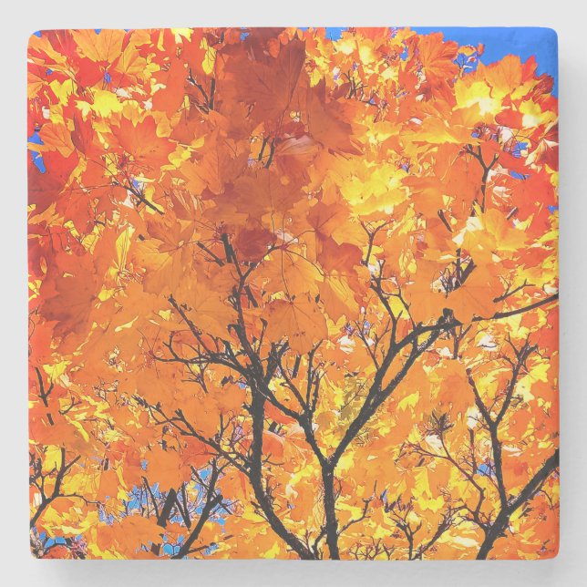 Orange löv stenunderlägg (Framsidan)