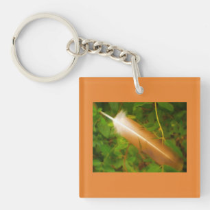 Orange ludd