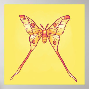 Orange Luna Moth Art - Färgfull Insekt Poster
