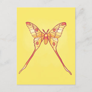Orange Luna Moth Art - Färgfull Insekt Vykort