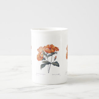 Orange Lychnis Redoute Benporslin Mugg