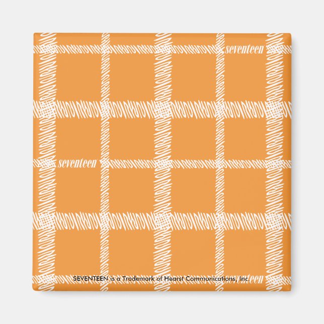 Orange Magnet (Framsidan)
