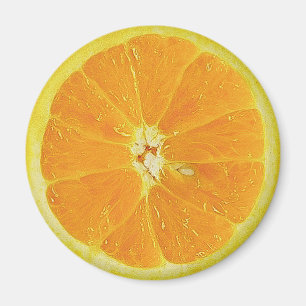 ORANGE MAGNET FÖR SKIVAKYLSKÅPDÖRR