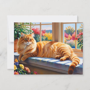 Orange Maine Coon Katt Vykort