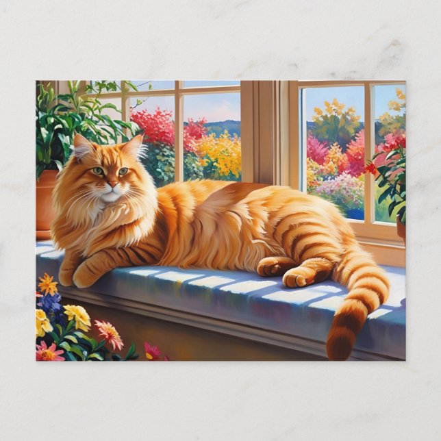 Orange Maine Coon Katt  Vykort (Framsida)
