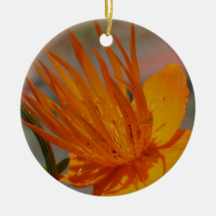 Orange Makroblomma Ornament