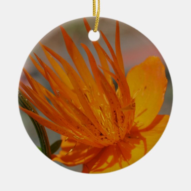Orange Makroblomma Ornament (Framsidan)