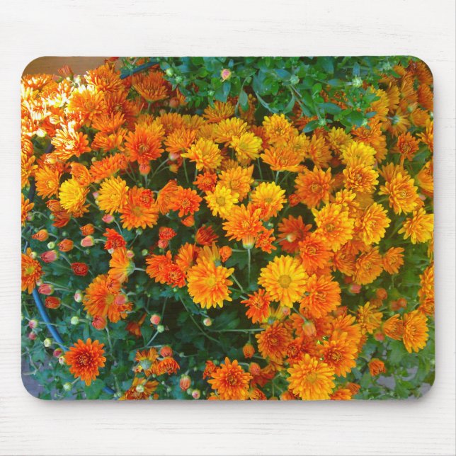 Orange Margarita Daisy Mousepad Musmatta (Framsidan)