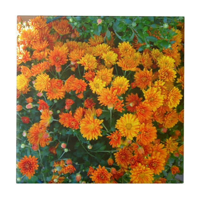 Orange Margarita Daisy Tile Kakelplatta (Framsidan)